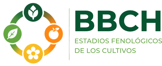 logo de BBCH Fenología de los cultivos.