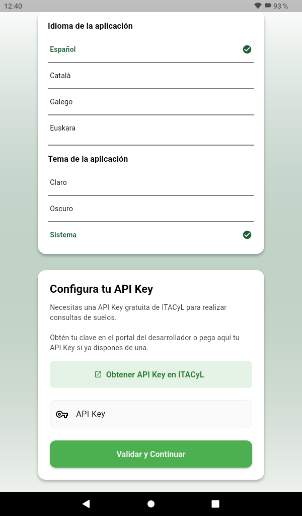 Pantalla de carga de la API Key